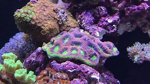 2K views · 35 reactions | Check out Episode THREE of our Diver’s Den®...