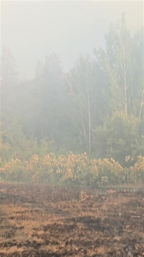 Finally hit a good one! #wildlandfire