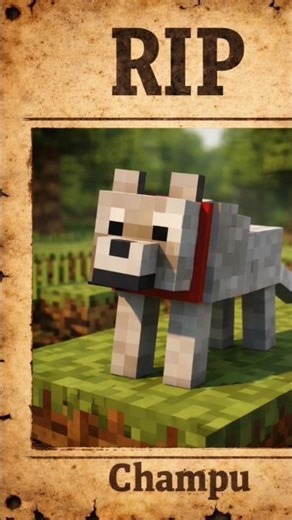 This Is How I Time Travelled In This Minecraft SMP