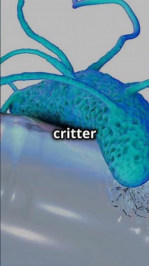 Plastic Eating Bacteria Nature's Recycler