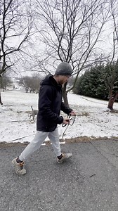 We are working with Blu, a Shar-Pei dog, on out-of-command training. We have him on a long line to see if he will have any big reactions like rushing the fence or barking. This gives us a chance to correct and recall him, which will help with teaching him to heel. We can see that the training we've done so far is preventing him from having that reaction, as he knows it's wrong, so he decides to mark instead which is a downgrade from reacting. | Julie's K9 Academy - Dog Training | Facebook