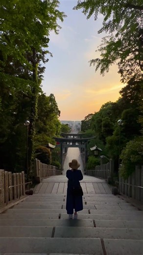 光の道：宮地嶽神社の魅力を探訪