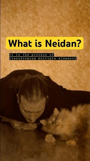What is Neidan? Daoist Internal Alchemy