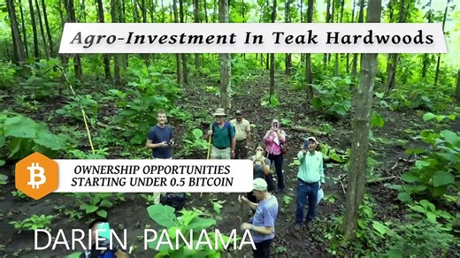 Ownership Opportunities With Bitcoin AT ECI Development - video Dailymotion