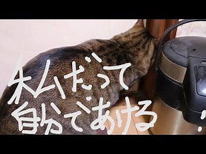 アタック25/パリ挑戦権獲得！