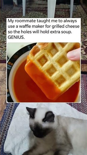 My Roommate Taught Me to Make Grilled Cheese in a Waffle Maker #shorts