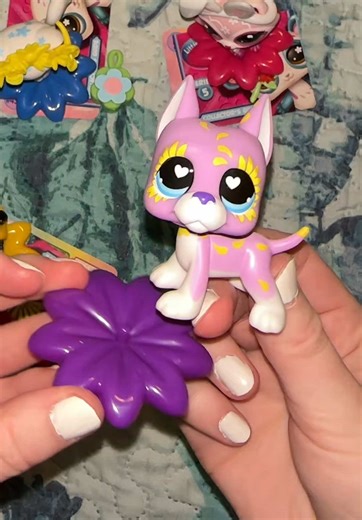 I’m excited to have another angora cat in my collection 🩵💜 #lps #lpstiktok #littlestpetshop #lpscollection #lpscollector