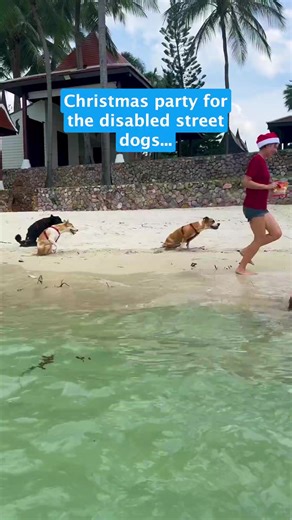 379K views · 25K reactions | Some people wouldn't think to give...