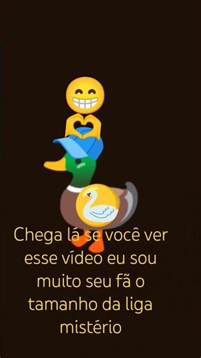 6 de dezembro de 2025