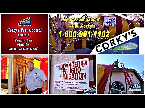 What Goes on Inside a Fumigation Tent?