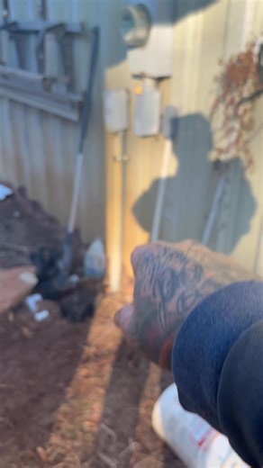 8.1K views · 83 reactions | need to find some material in the hoard to bend some corners. Little bit more facial work, will stick a pin in it for now. I had to spend 200 bucks Ish on the framing. I hate that.. Had everything else. | William Vine | Facebook