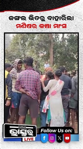 ଜଙ୍ଗଲରେ ଏମିତି କଣ ହେଲା ଦୌଡିଲେ ଶହ ଶହ ଲୋକେ... #ytshorts #shortsvideo #baleswar #forest #villagers