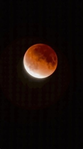 The Moon turned red 🔴 Total Lunar Eclipse 2026 #totality #bloodmoon #bloodmooneclipse No people or animals were harmed in this video. Hello, I’m Zander and this is a family-friendly Facebook page created to share viral, fun, unusual, and entertaining moments from around the world that are meant to be enjoyed by viewers of all ages. Our goal has always been to highlight content that is lighthearted, positive, and easy to watch, whether it is something interesting happening somewhere, a funny or 