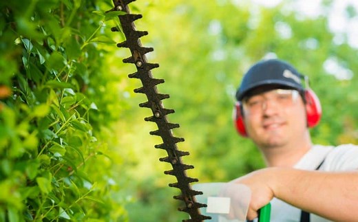 De 5 beste elektrische heggenscharen van 2025 getest en beoordeeld - TechGeek