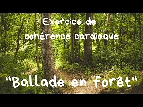 cohérence cardiaque audio | 5 MINUTES DE COHERENCE CARDIAQUE AVEC LES OISEAUX EN FORET