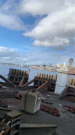 On the road again. Taken from the Washington State Ferries. #washingtonstate #seattle #wastateferries#seattleskyline #travel #roadtrip #roadtripvibes | Angela Carman