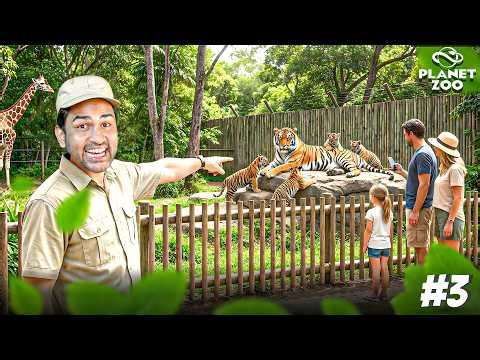 I Adopted a Bengal Tiger in Planet Zoo… The Results Are AMAZING!” JUNUX GAMING