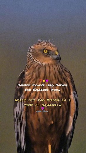 MOORTHI A on Instagram: "Mention 💯😈🖕 Boys #motivationalquotes"