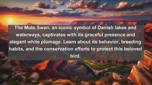 Exploring Denmarks Avian Diversity: Top 10 Native Birds