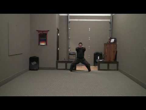 Kenpo Karate Kata: Tiger