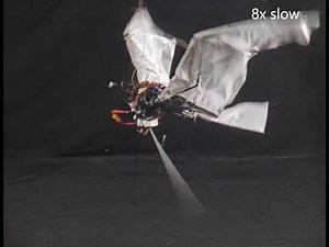 Flapping-wing Robot Design: Bird-style Takeoff