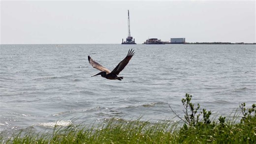Record $9.6 million fine for Third Coast after substantial oil spill in the Gulf of Mexico