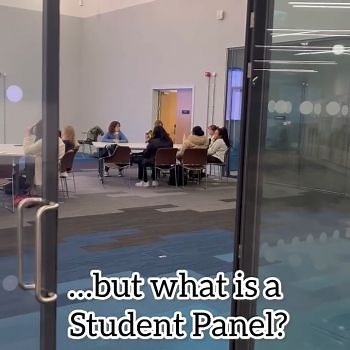 What is the Student Panel and how does it help support students?