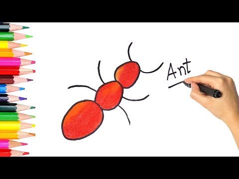 How to Draw an Ant Easy Step by Step Ant Drawing for Beginners