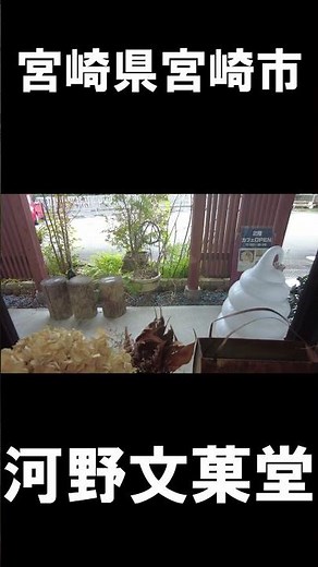 [Miyazaki Gourmet] Miyazaki City, Miyazaki Prefecture #MiyazakiPrefecture #MiyazakiGourmet #Miyazaki