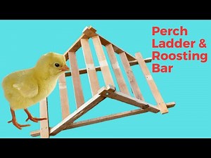 DIY Chicken Roosting