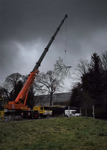 Beech tree removal carried out today over a local model railway, with crane assistance 🌳🏗️ Another big one safely removed ✅ 📸 Job footage coming soon #ForemostTreeSurgeons #LetsGo #TreeSurgeons #Arborists #TreeSurgeonsUK