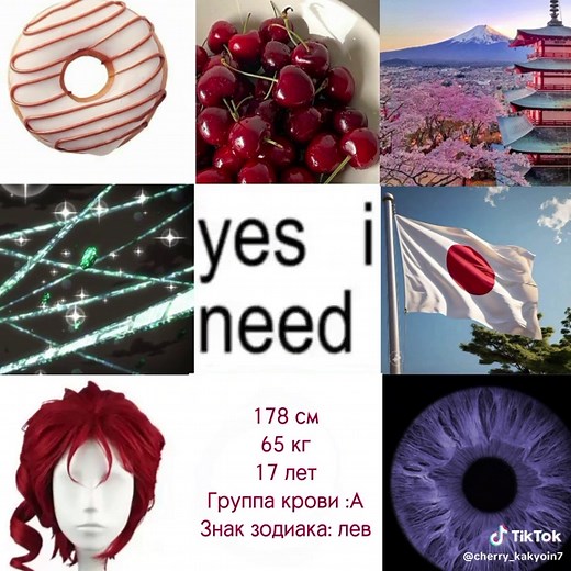 Приключения Джоджо: Какёин в фокусе