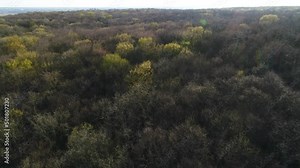 Flight over the tops of bare spring trees of the Ukrainian mixed forest. The buds are visible on the branches. Aerial view.