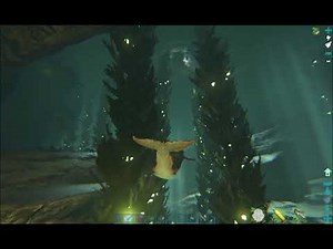 Ark Island E 34, The Brute cave run. Easy underwater cave.