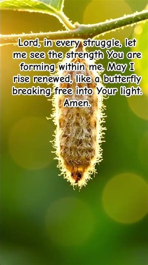 Strength Born from Steuggles