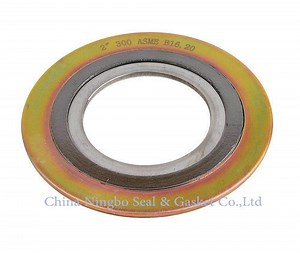 [Hot Item] Flexitallic Cg and Cgi Type Spiral Wound Gasket