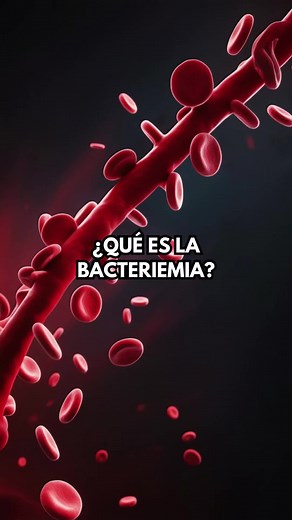 Qué es la Bacteriemia y sus Riesgos