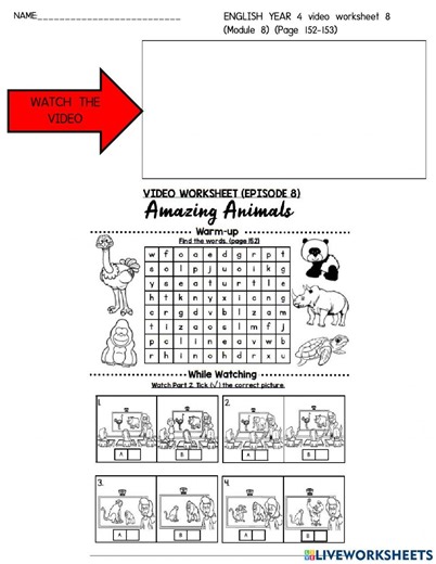 Year 4 Video Worksheet 8 (Module 8) worksheet