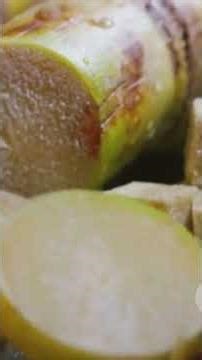 Did you know how sugar is made ll Food Science ll Shorts