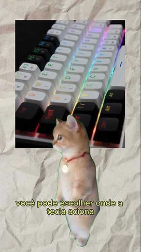 🐱⌨️ Didn't know how a magnetic keyboard works? The kitties will explain it to you!