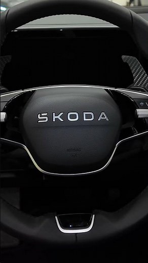 SKODA ARMASPEED Aluminum Paddle Shifters