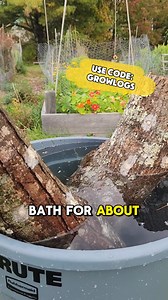 61 reactions · 20 shares | For a limited time, get 20% off all log growing kits with code ‘GROWLOGS’!  Inoculate today so your logs are ready to produce when the season hits! | North Spore | Facebook