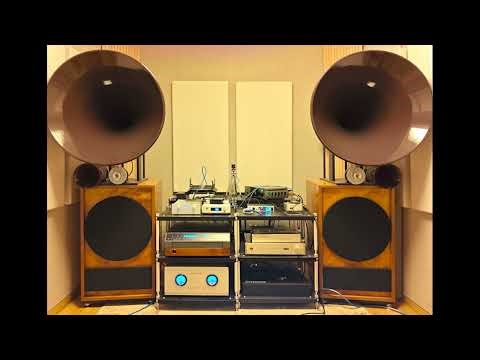 ELP Laser Turntable. GOTO Horns. Seoul, Korea. Recording in room with Sony PCM-D100.