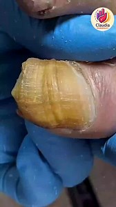 Ep.943 Walking group grocery shopping with label reading 💕😍 #FoodLabelTips #HeartHealthyDiet #SmartNutrition | Claudia Pandolfi