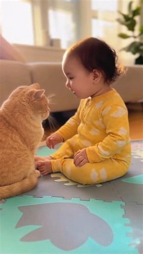 The Baby Translator — Only the Cat Understands Her 🥰❤️🐱 | Cute Cat Page