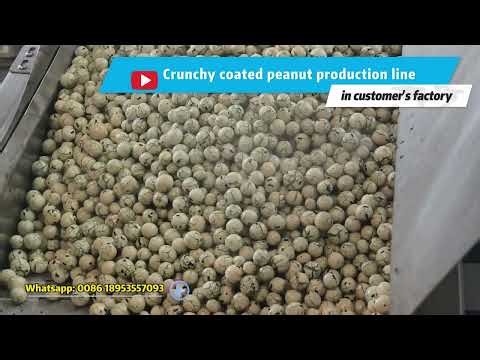 Automatic Coated Peanut Line – Uniform Coating, Stable Quality | All-in-One Auto Solution