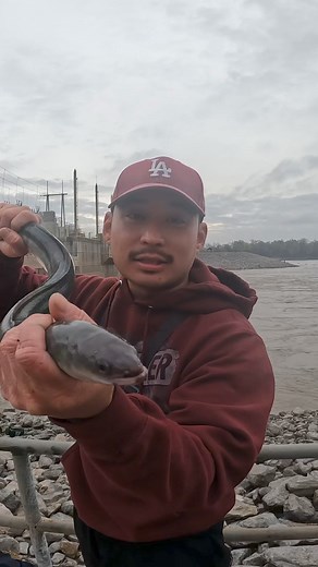 First time using freshwater Eel! #fishing | Tonystayfishin 2.0