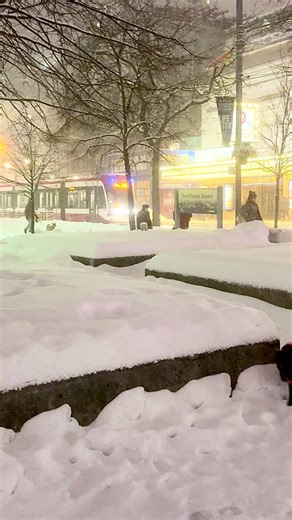 Experience Winter in Canada: Snowy Adventures Await