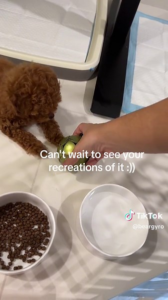 Make Your Own Retractable Steel Balls with STL Files and 3D Models!