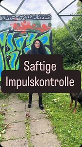 Online-Seminar zum Thema Impulskontrolle Zuhause von @sarahfink_official !! Einfach auf Sarah-Funk.de gehen und nach dem Seminar „Indoor Impulskontrolle“ schauen. Ihr werdet nicht nur schnell fündig, sondern auch erfolgreich wir wünschen Euch ganz viel Spaß und denkt daran: der im Seminar gezeigte Hund Bert sucht noch dringend ein Zuhause bei Menschen die kräftig Bock haben mit einem energiegeladenen Hund zu arbeiten‼️ . . . . . #hundeliebe #hundetraining #hundeerziehung #humor | Mel Zenz